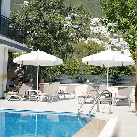 Kaya * Kalkan